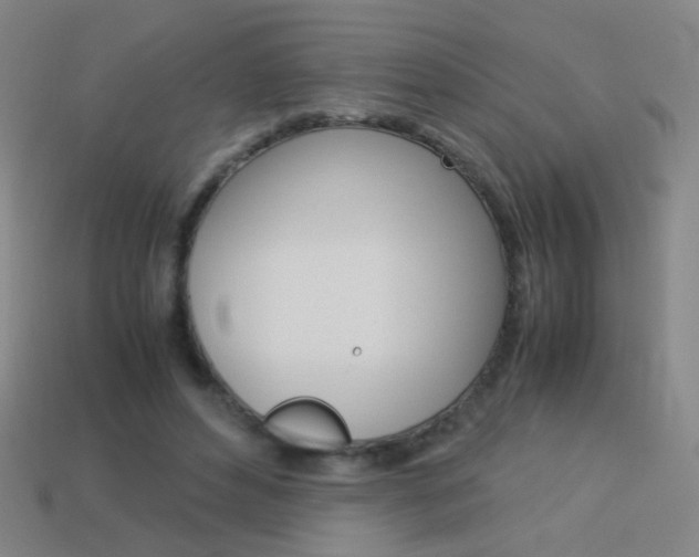 X0000114190496200910091031