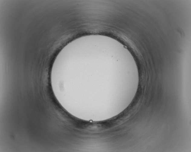 X0000114190497200910091031