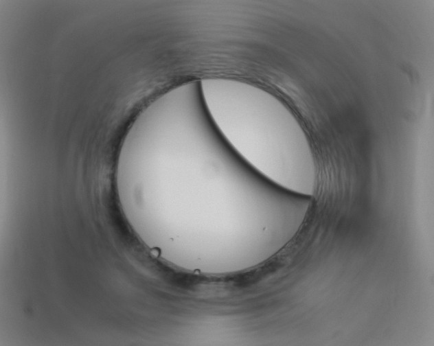 X0000114190499200910091031