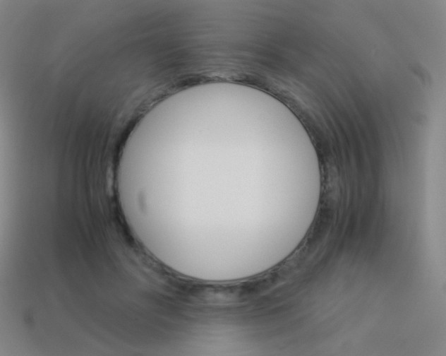 X0000114190502200910091031