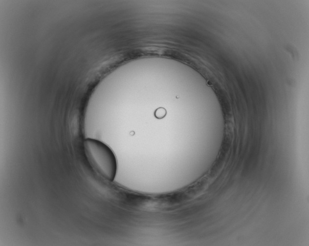 X0000114190504200910091031