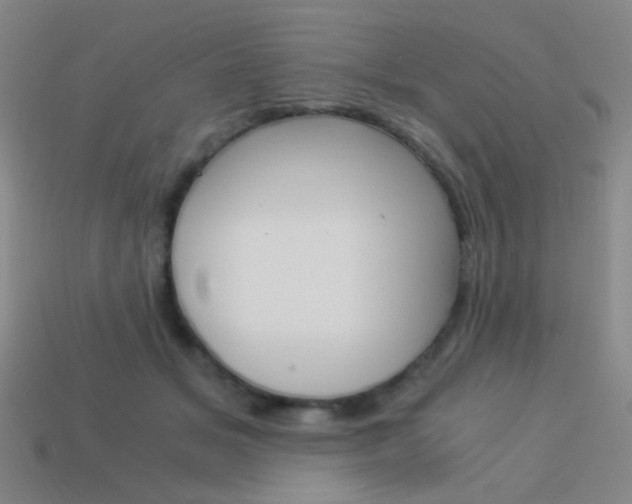 X0000114190509200910091031