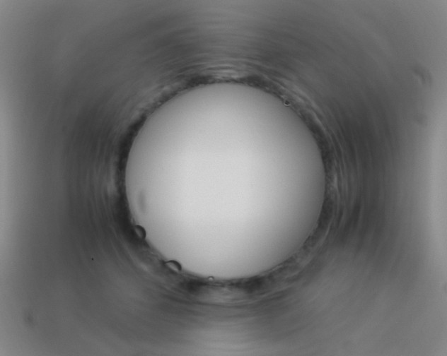 X0000114190512200910091031