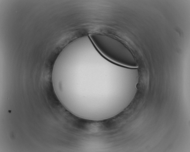 X0000114190513200910091031