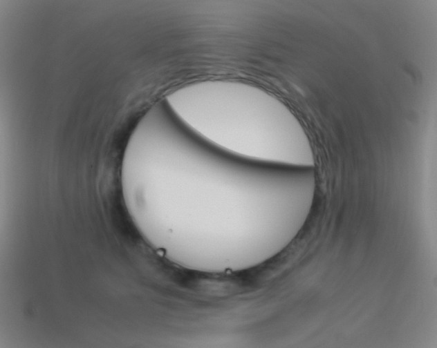 X0000114190515200910091031