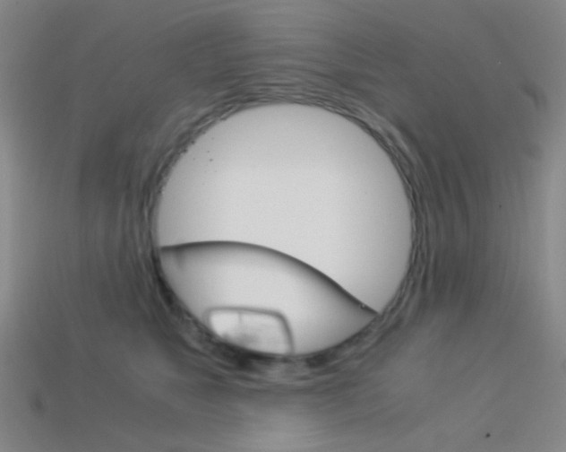 X0000114190517200910091031