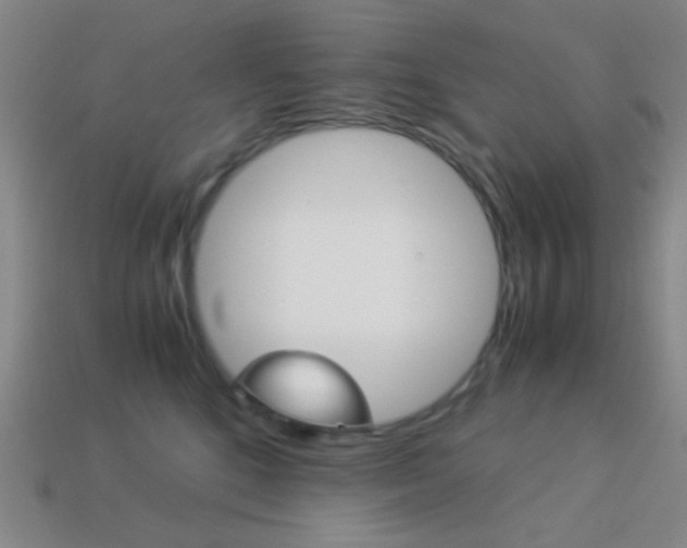 X0000114190520200910091031