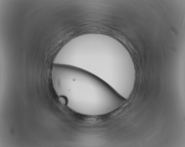 X0000114190521200910091031