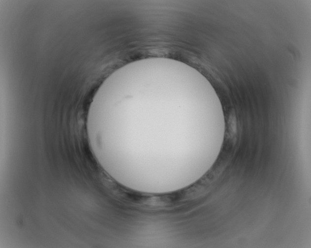 X0000114190522200910091031