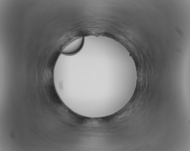 X0000114190523200910091031
