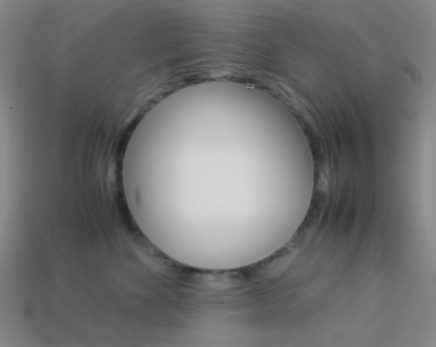X0000114190524200910091031