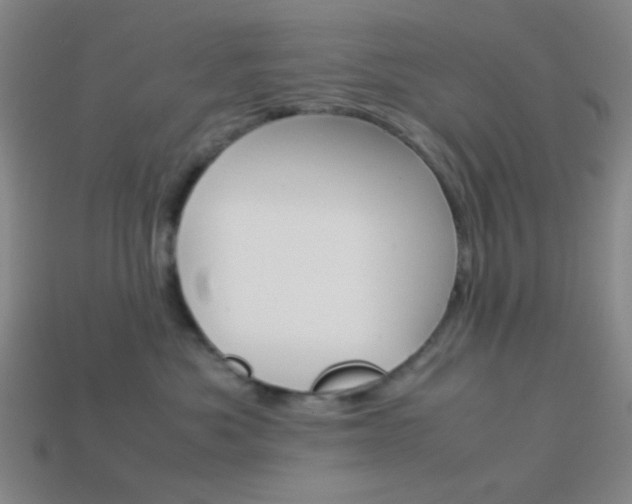 X0000114190525200910091031