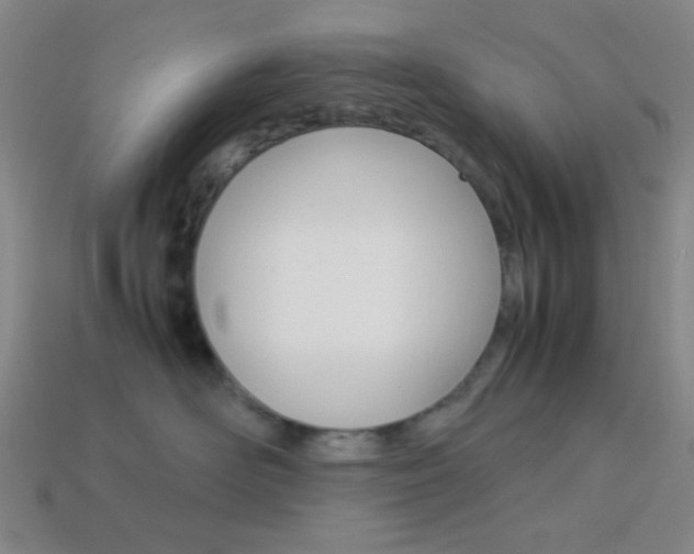 X0000114190526200910091031