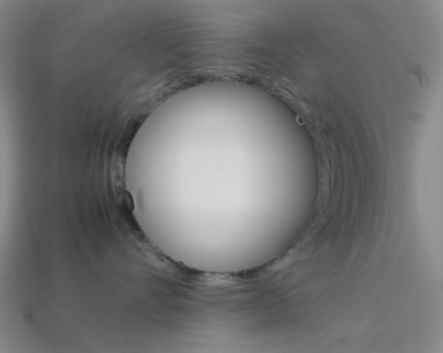 X0000114190528200910091031