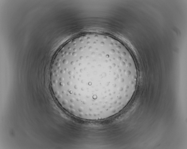 X0000114190529200910091030