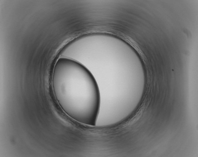 X0000114190530200910091030