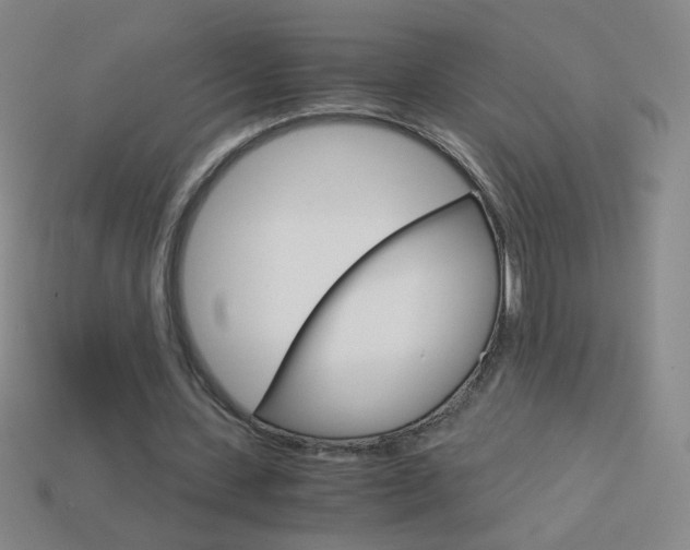 X0000114190531200910091030