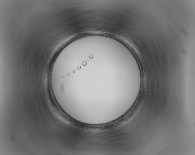 X0000114190533200910091030