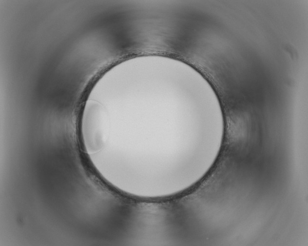 X0000114190534200910091030
