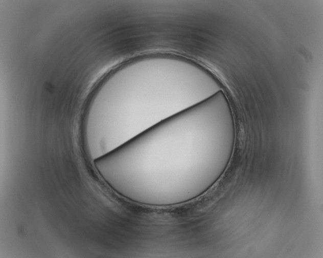 X0000114190535200910091030