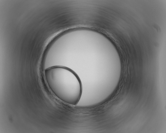 X0000114190536200910091030