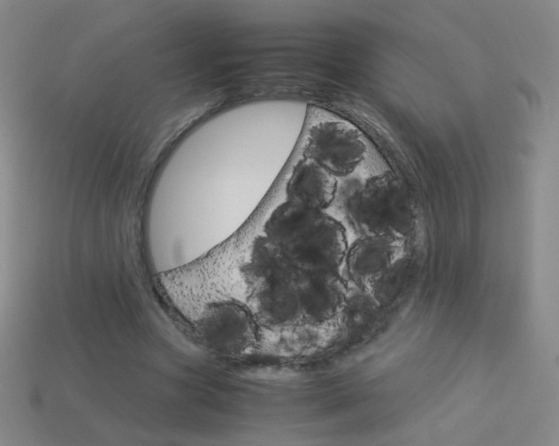 X0000114190537200910091030