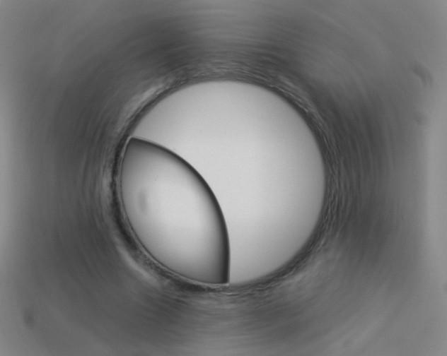 X0000114190538200910091030