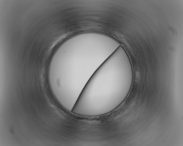 X0000114190539200910091030