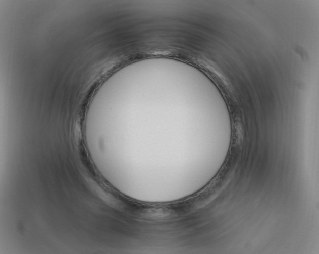 X0000114190541200910091030