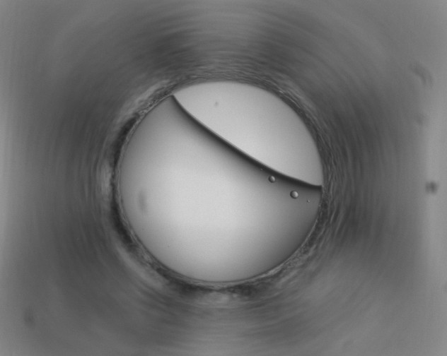 X0000114190542200910091030