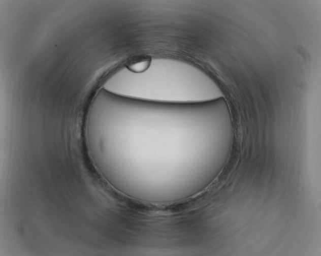X0000114190543200910091030