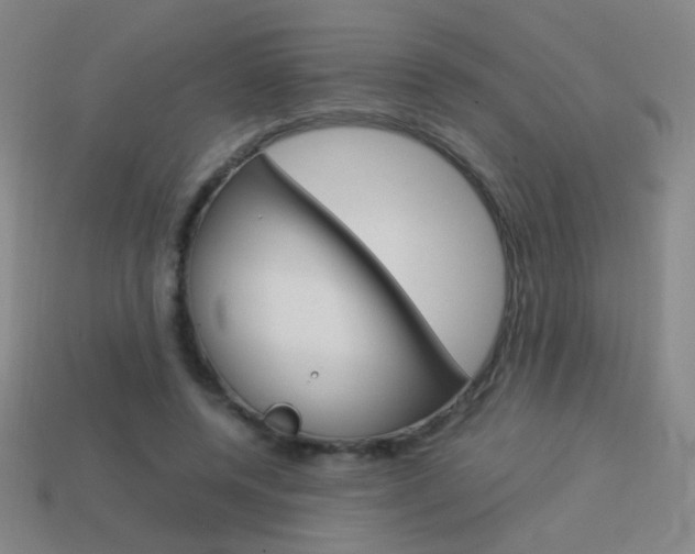 X0000114190544200910091030