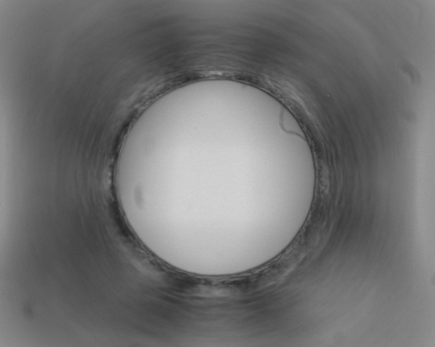 X0000114190545200910091030