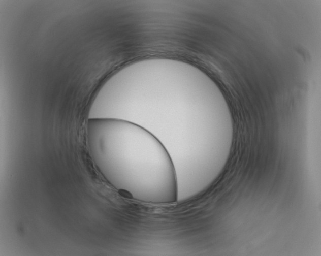X0000114190546200910091030