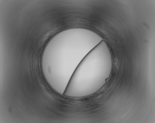 X0000114190547200910091030