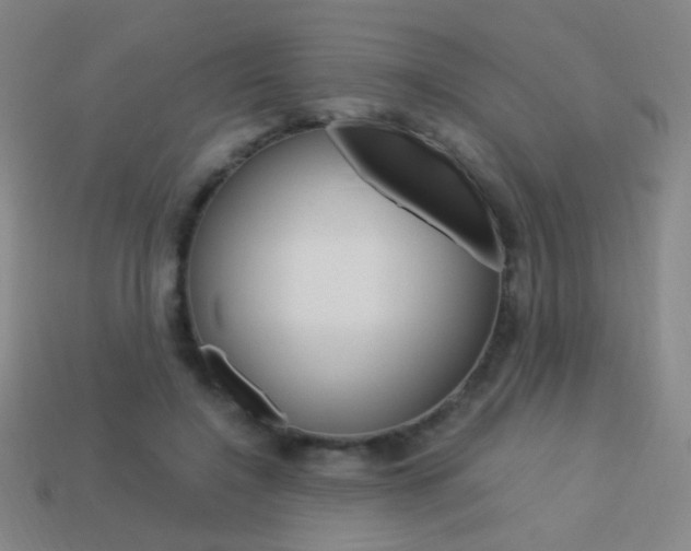 X0000114190548200910091030
