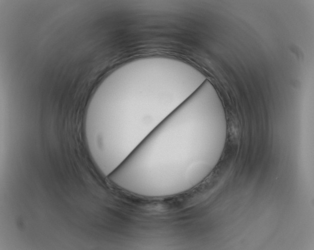 X0000114190551200910091030
