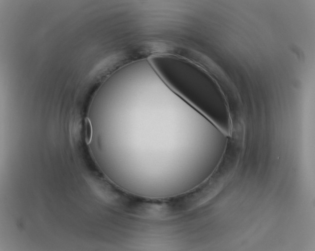 X0000114190552200910091030