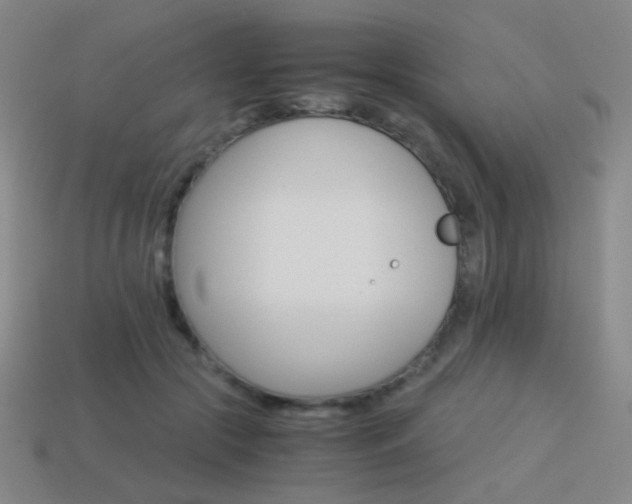 X0000114190553200910091030