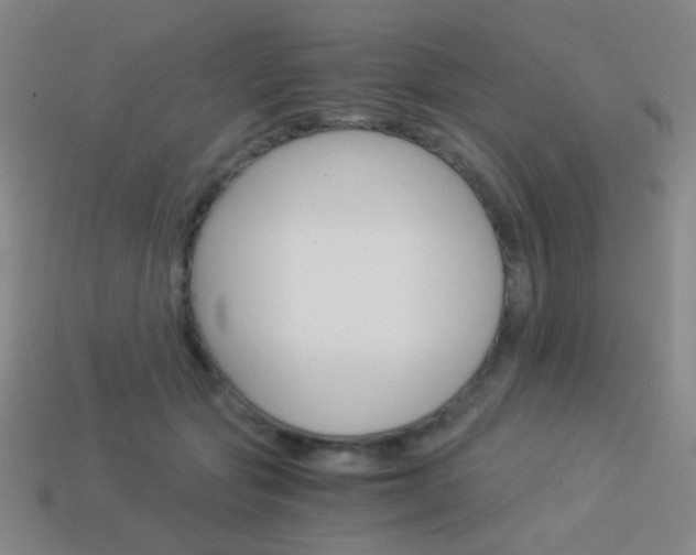 X0000114190557200910091030