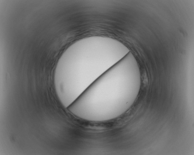 X0000114190559200910091030