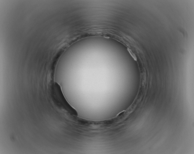 X0000114190560200910091030