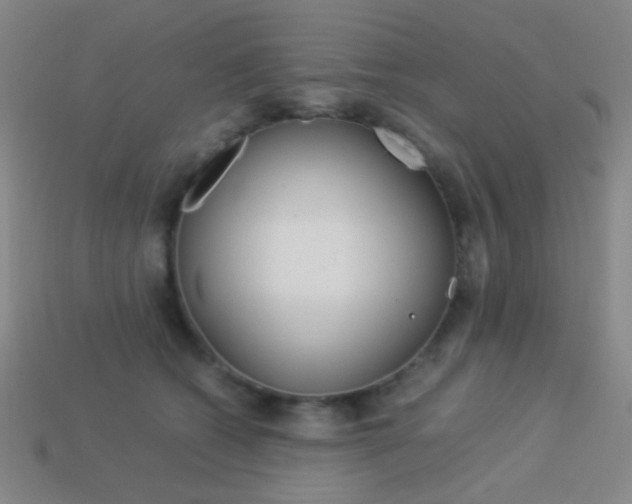 X0000114190562200910091030