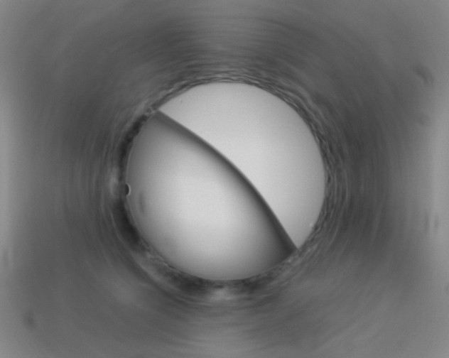 X0000114190564200910091030