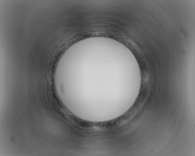 X0000114190565200910091030