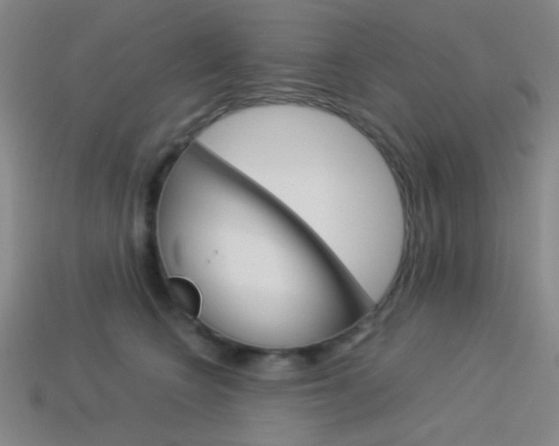 X0000114190566200910091030