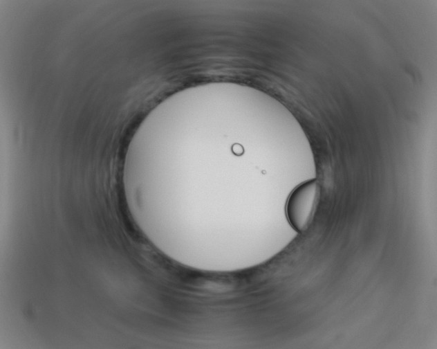 X0000114190567200910091031