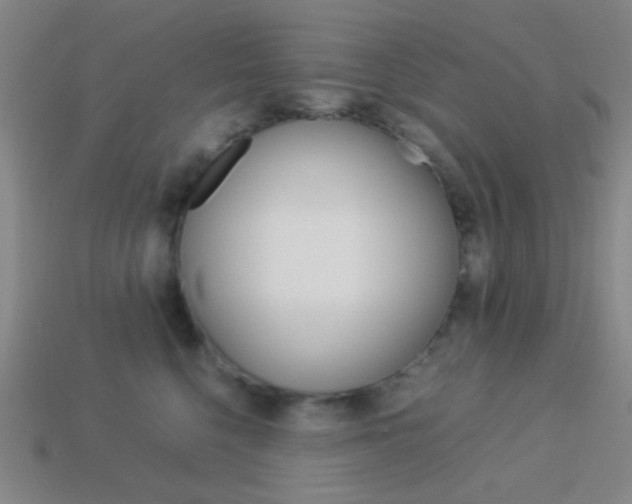 X0000114190568200910091031