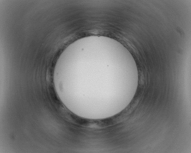 X0000114190569200910091031