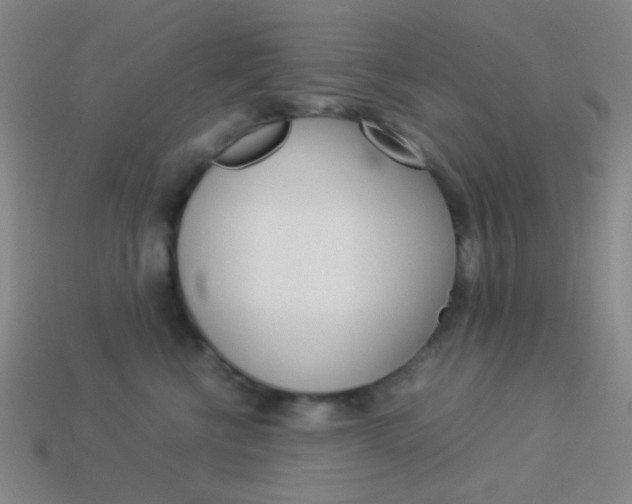 X0000114190570200910091031